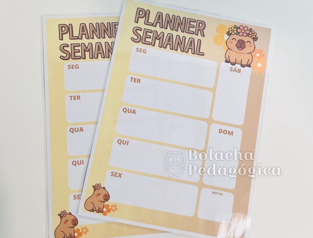 WhatsApp Image 2026-01-21 at 18.02.34