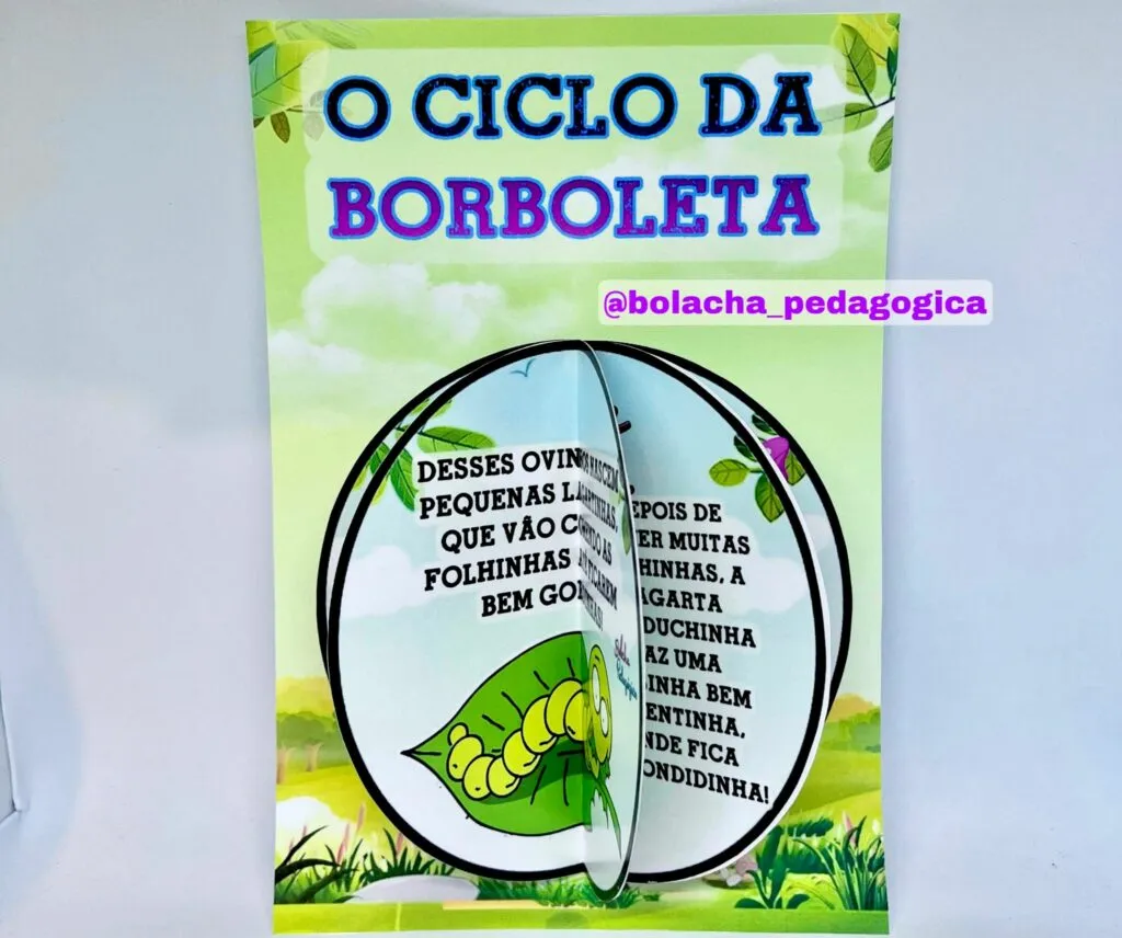 Livrinho O ciclo da borboleta