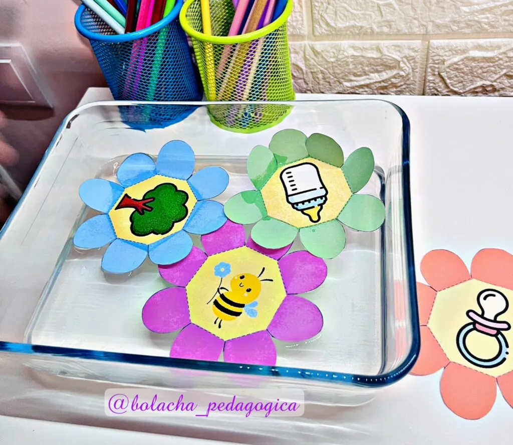 Flores Surpresa