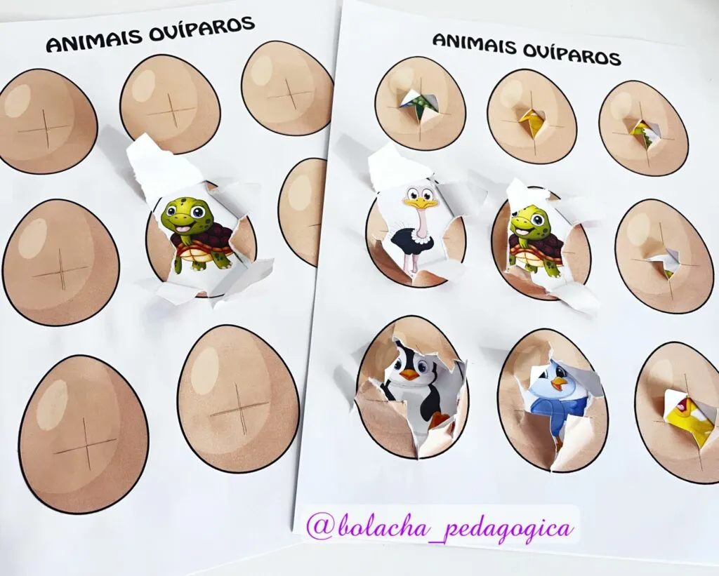 Animais Ovíparos Surpresa